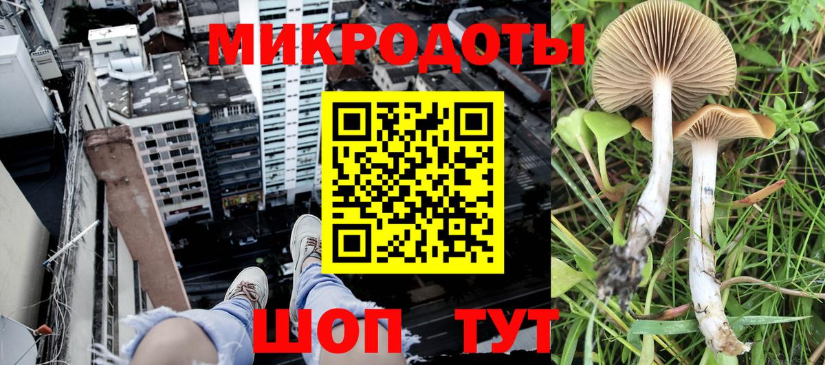 Чебаркуль  сколько стоит  Псилоцибиновые грибы Cubensis  Вход с VPN  Псилоцибиновые грибы мухоморы 
