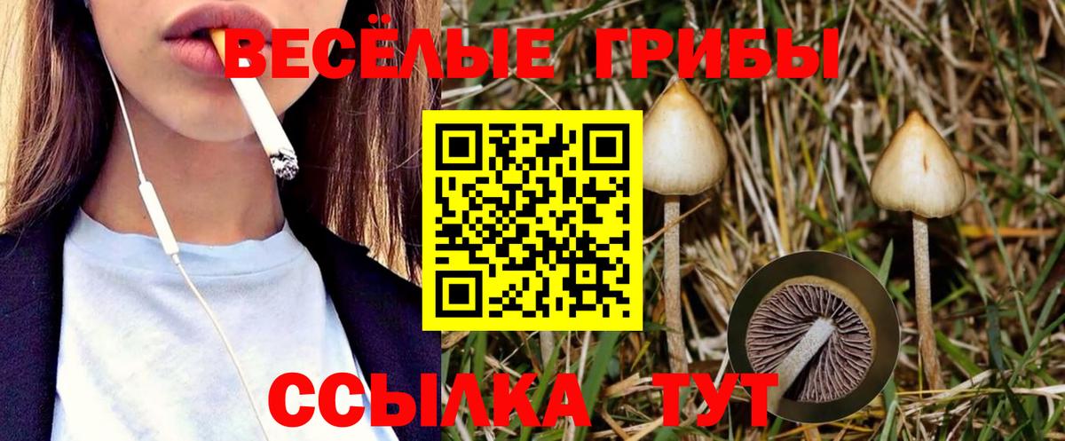 Гашиш Чебаркуль