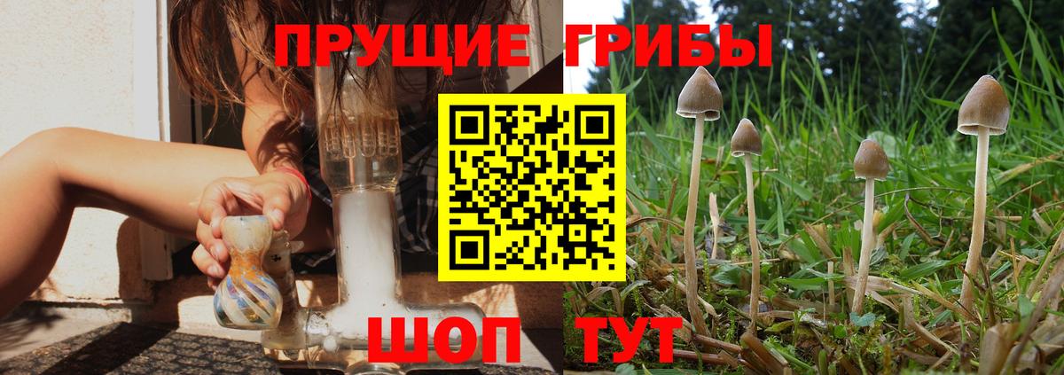 Псилоцибиновые грибы GOLDEN TEACHER Чебаркуль